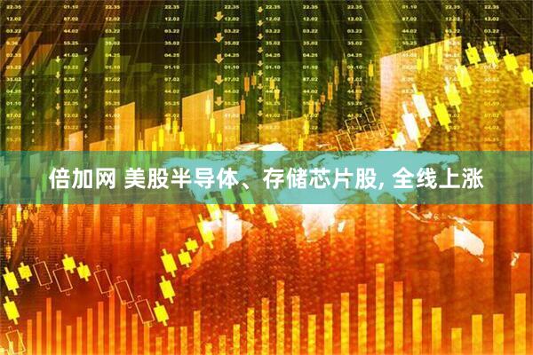 倍加网 美股半导体、存储芯片股, 全线上涨